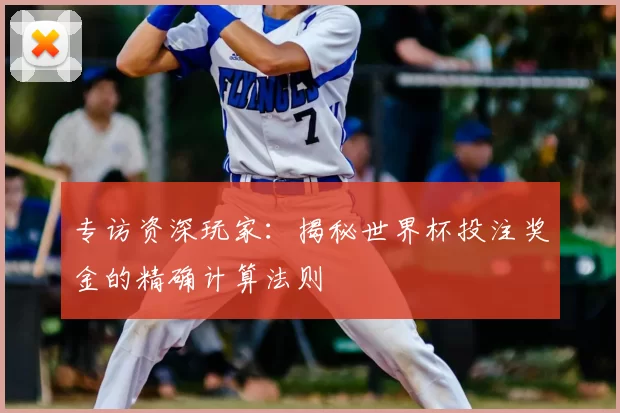 专访资深玩家:揭秘世界杯投注奖金的精确计算法则
