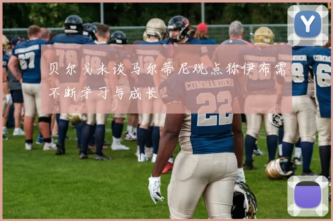贝尔戈米谈马尔蒂尼观点称伊布需不断学习与成长