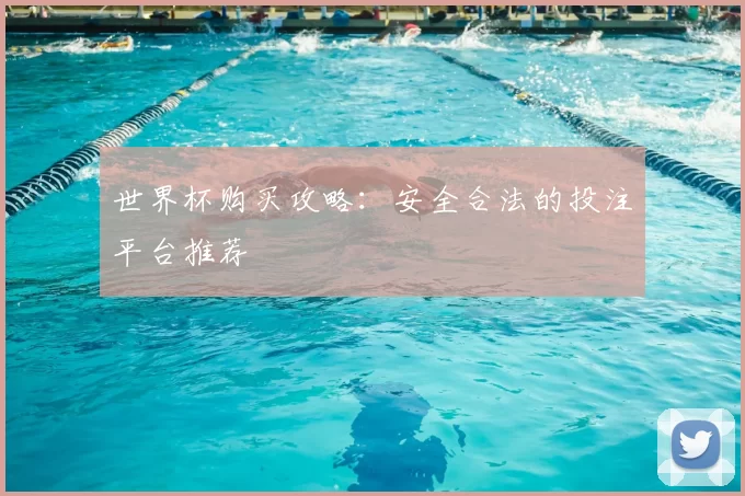 世界杯购买攻略：安全合法的投注平台推荐