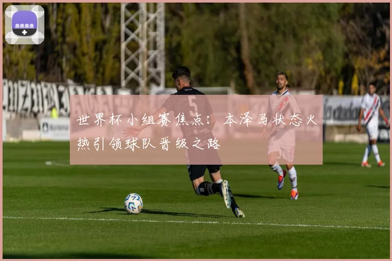 世界杯小组赛焦点:本泽马状态火热引领球队晋级之路