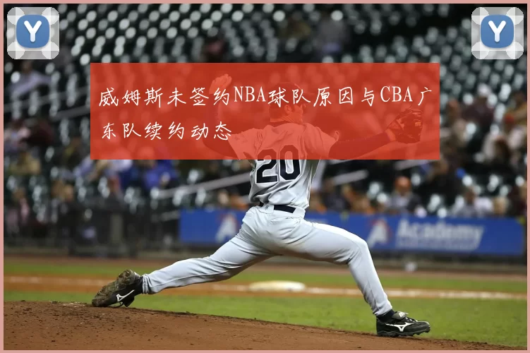 威姆斯未签约NBA球队原因与CBA广东队续约动态
