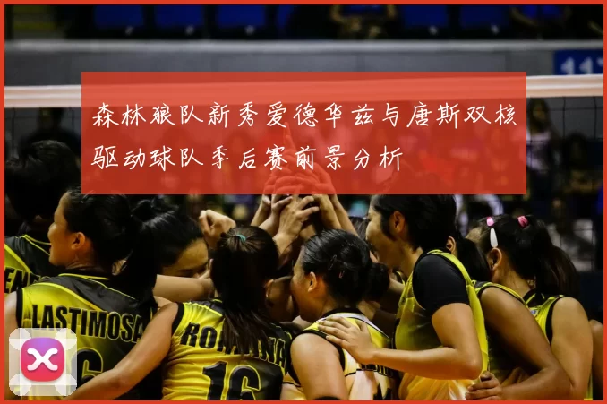 森林狼队新秀爱德华兹与唐斯双核驱动球队季后赛前景分析