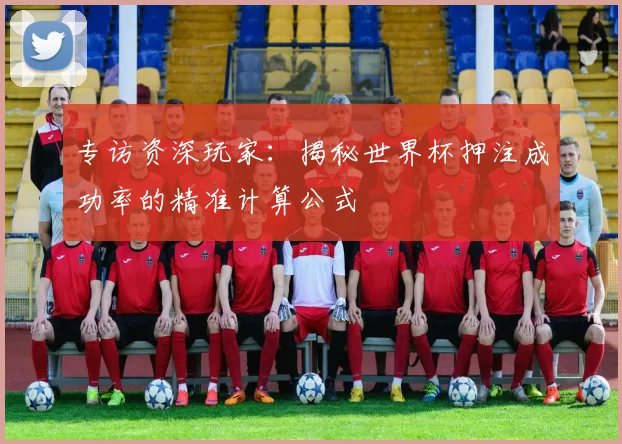 专访资深玩家:揭秘世界杯押注成功率的精准计算公式