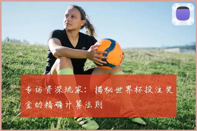 专访资深玩家:揭秘世界杯投注奖金的精确计算法则