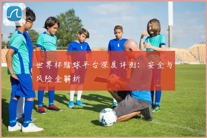 世界杯赌球平台深度评测：安全与风险全解析