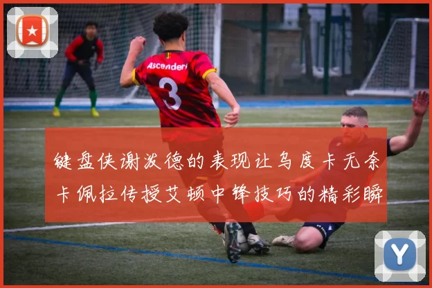 键盘侠谢泼德的表现让乌度卡无奈卡佩拉传授艾顿中锋技巧的精彩瞬间