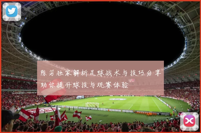 陈芳独家解析足球战术与技巧分享助你提升球技与观赛体验