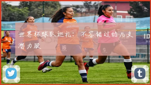 世界杯球队巡礼:不容错过的几支潜力股
