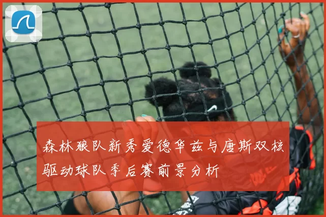 森林狼队新秀爱德华兹与唐斯双核驱动球队季后赛前景分析