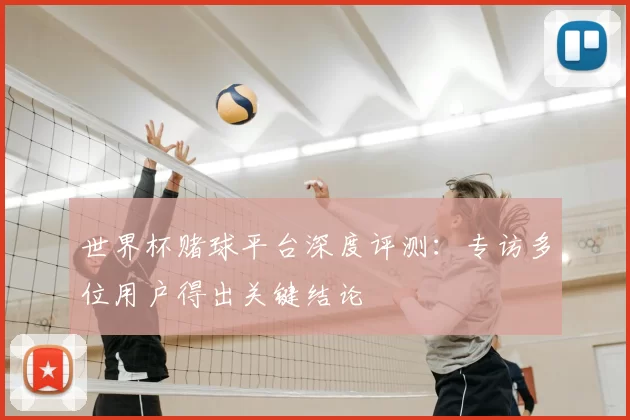 世界杯赌球平台深度评测:专访多位用户得出关键结论