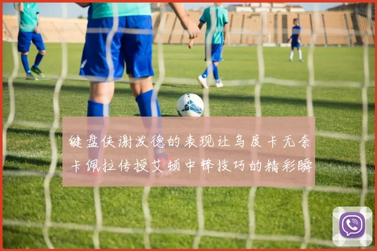 键盘侠谢泼德的表现让乌度卡无奈卡佩拉传授艾顿中锋技巧的精彩瞬间
