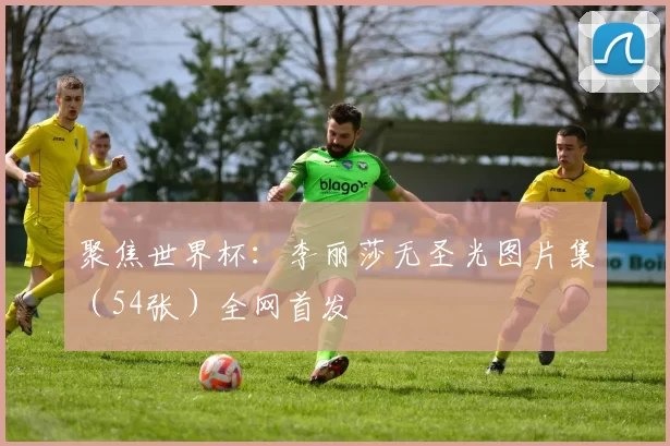 聚焦世界杯:李丽莎无圣光图片集(54张)全网首发