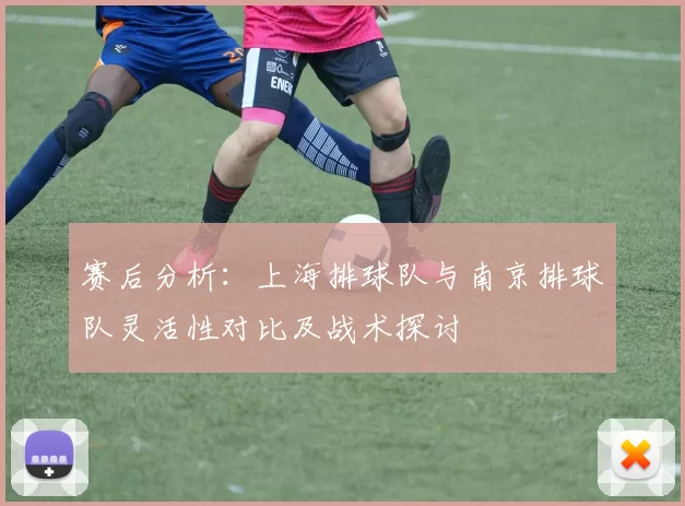 赛后分析:上海排球队与南京排球队灵活性对比及战术探讨