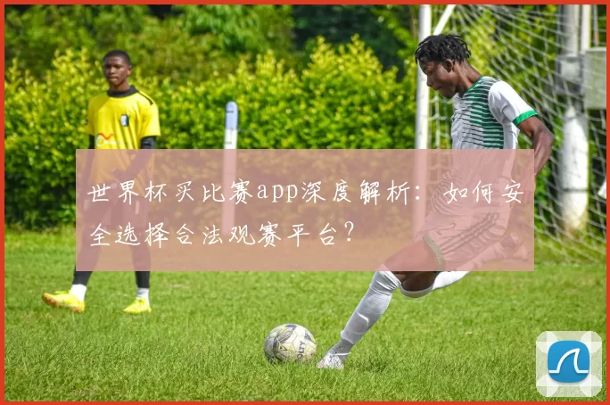 世界杯买比赛app深度解析:如何安全选择合法观赛平台?
