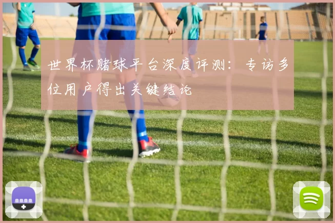 世界杯赌球平台深度评测:专访多位用户得出关键结论