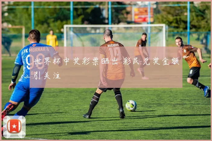 世界杯中奖彩票晒出 彩民兑奖金额引关注