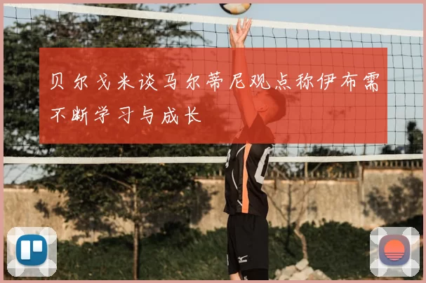 贝尔戈米谈马尔蒂尼观点称伊布需不断学习与成长