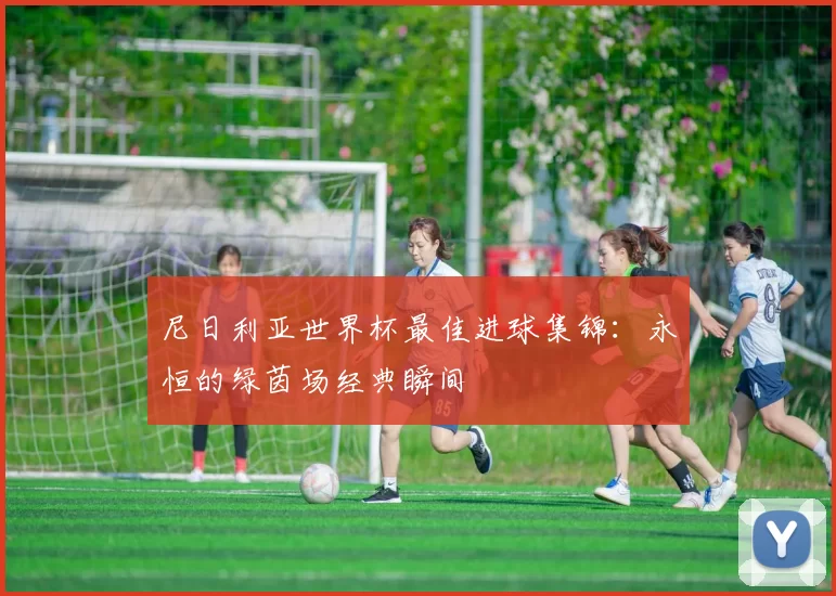 尼日利亚世界杯最佳进球集锦:永恒的绿茵场经典瞬间