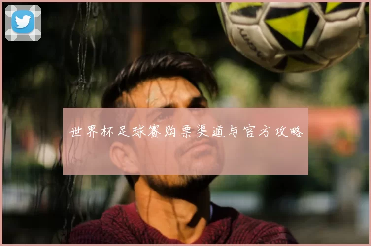 世界杯足球赛购票渠道与官方攻略