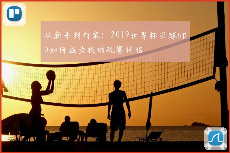 从新手到行家：2019世界杯买球app如何成为我的观赛伴侣