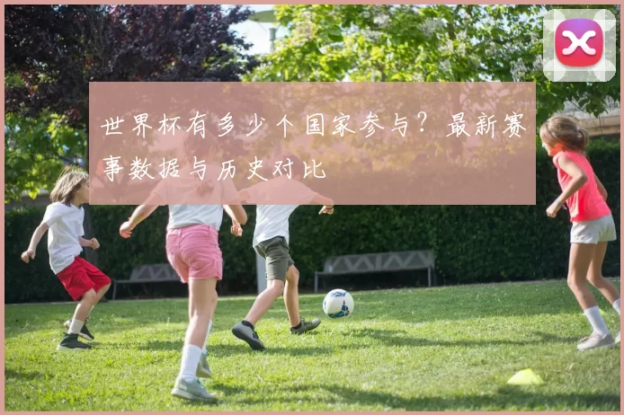 世界杯有多少个国家参与?最新赛事数据与历史对比