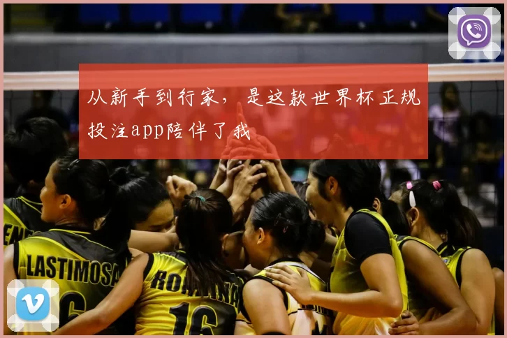 从新手到行家,是这款世界杯正规投注app陪伴了我